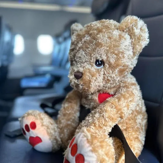 Where in the World is Raffy?