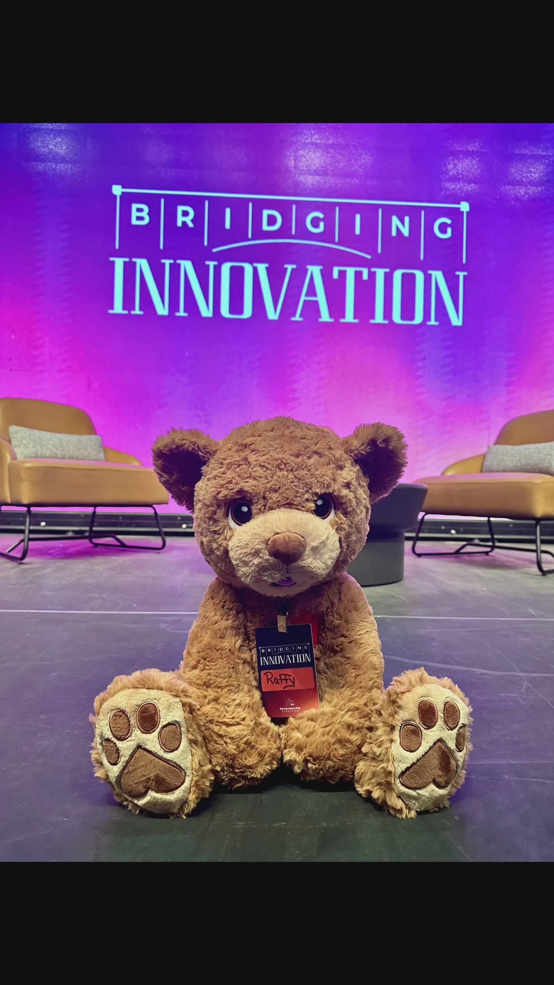 Load video: Bridging Innovation video